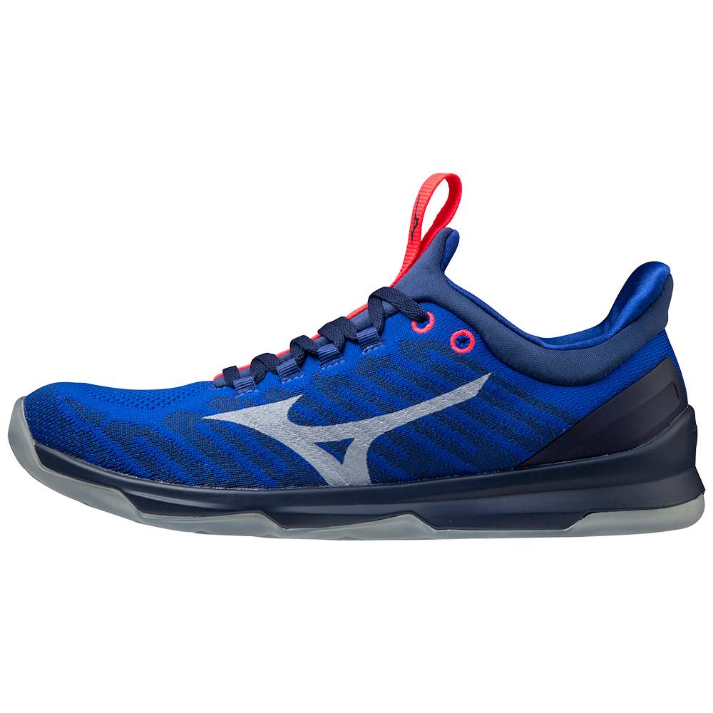 Mens Mizuno TC-01 Training Shoes Blue Philippines (MVWYDI390)